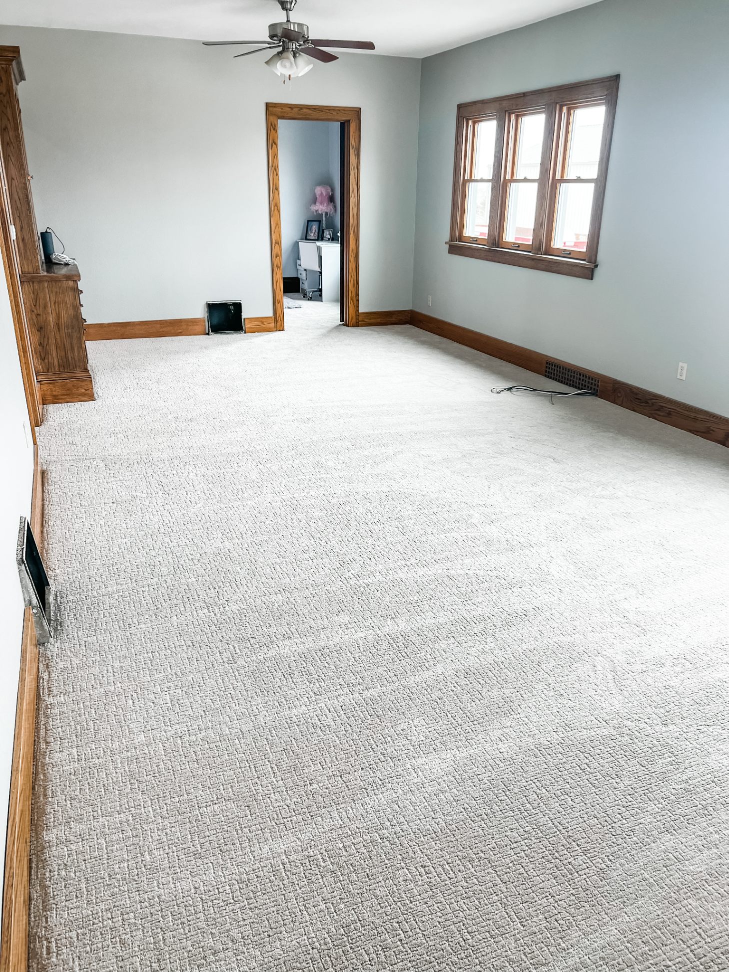 Carpet in a living or family room